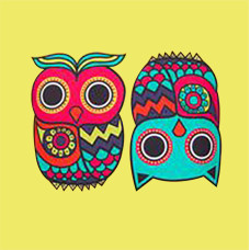 Printed Birds Cushion Cover